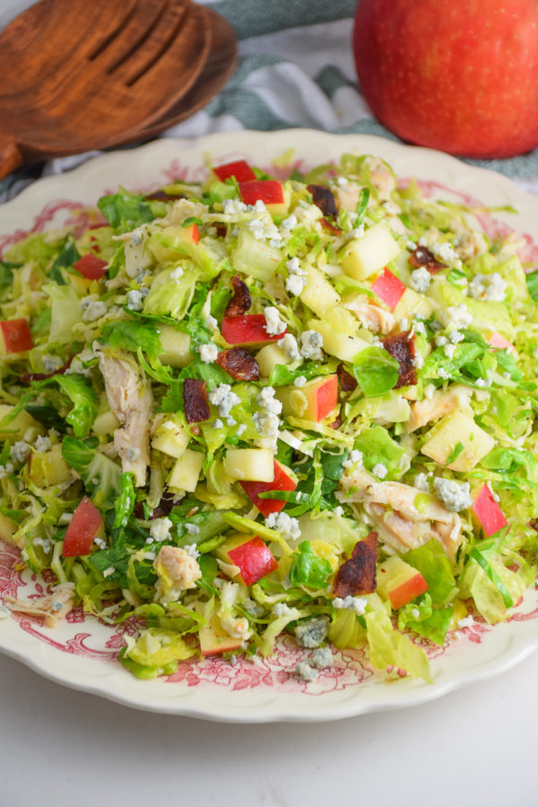 Apple Bacon and Blue Cheese Salad with Shredded Chicken Natalie Paramore