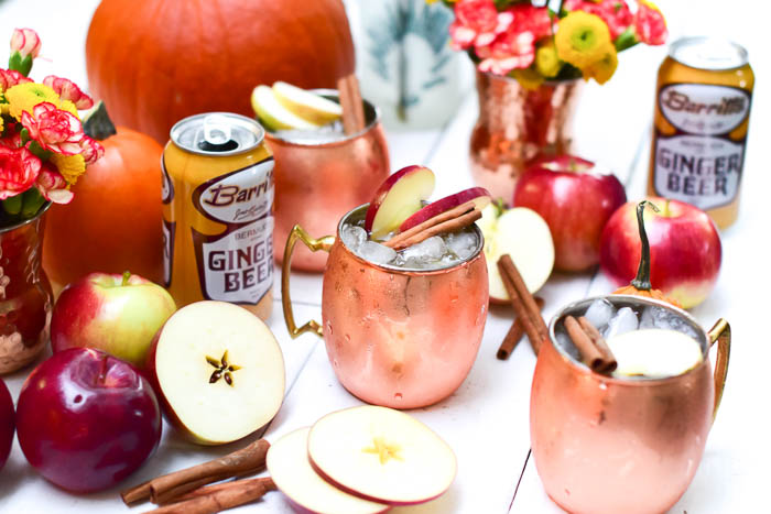 Apple Cider Kentucky Mule Recipe _ Natalie Paramore