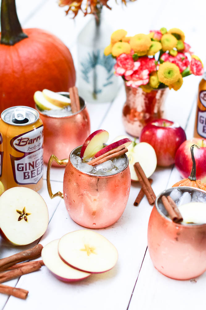 Apple Cider Kentucky Mule Recipe _ Natalie Paramore