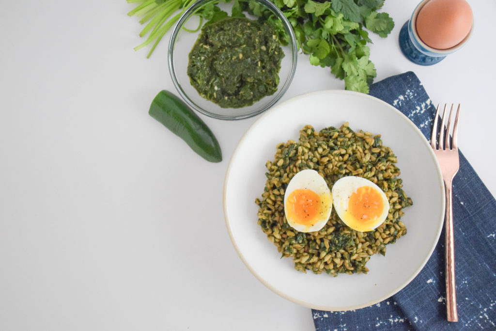 Spicy Cilantro Pesto Farro