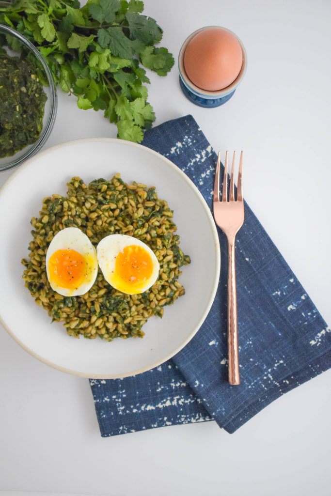 Spicy Cilantro Pesto Farro