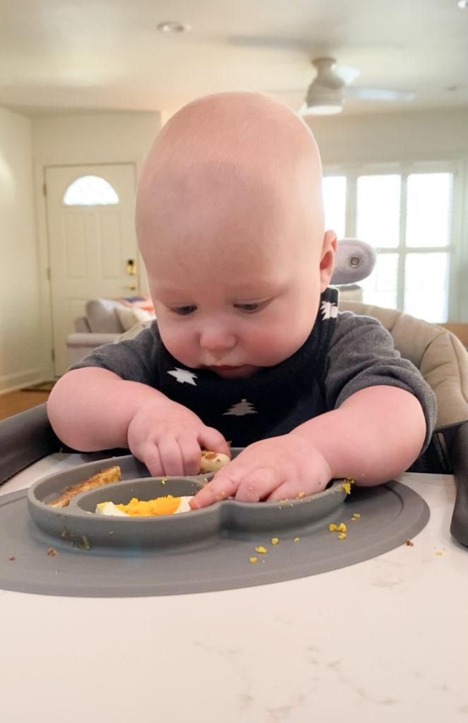 How to Start Baby-Led Weaning + First Foods - Eating Bird Food