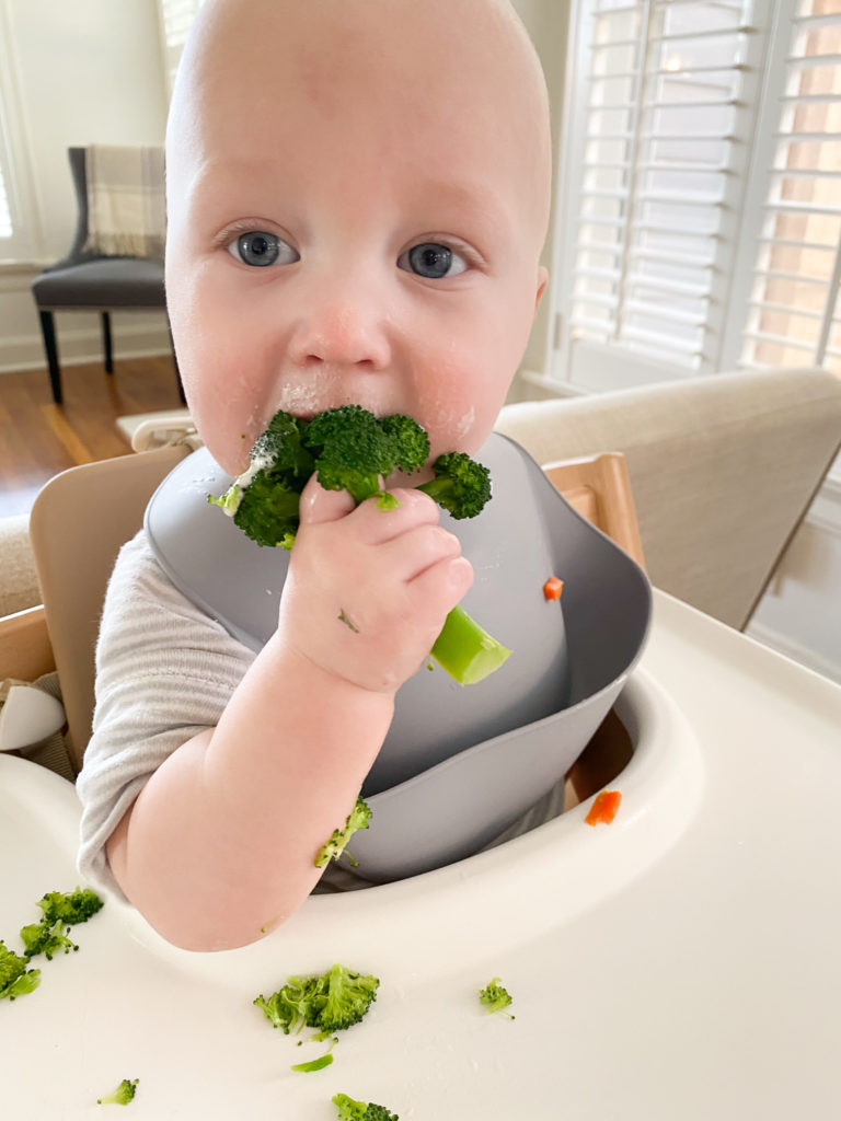 How to Start Baby-Led Weaning + First Foods - Eating Bird Food