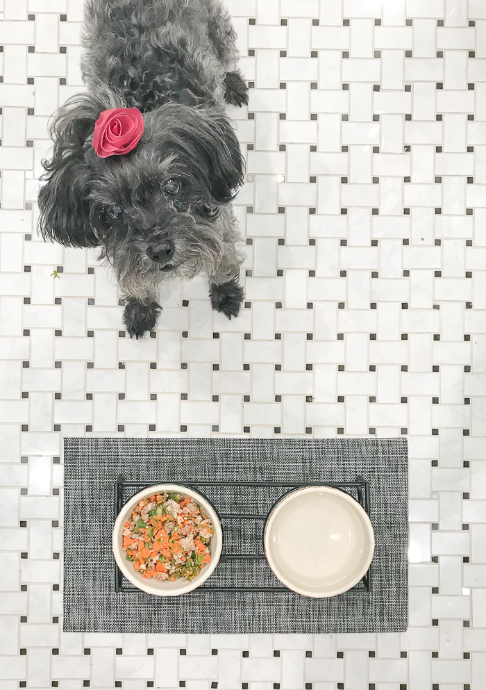 Mimi Eats - Healthy Homemade Dog Food