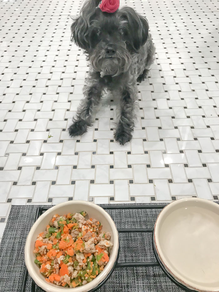 Homemade Dog Food Recipe_ Natalie Paramore