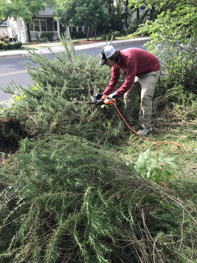 My Front Yard Make-Over