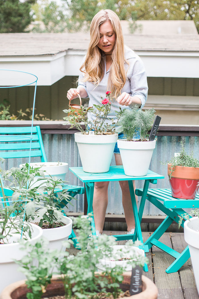 Tips for Your 1st herb garden_Natalie Paramore